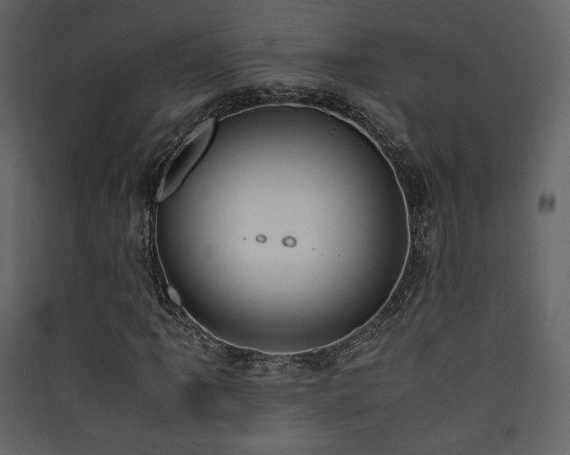 X0000090411061200707131142