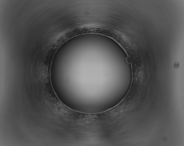 X0000090411062200707131142
