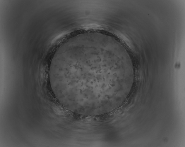 X0000090411063200707131142