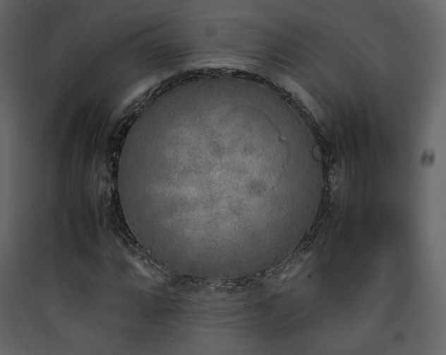 X0000090411064200707131142