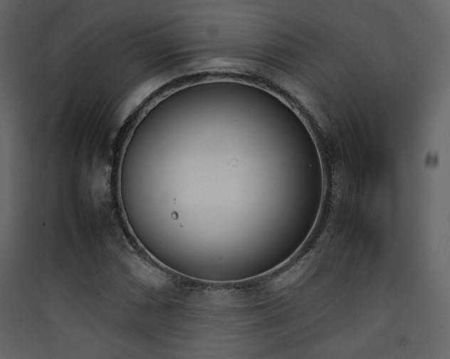 X0000090411066200707131142