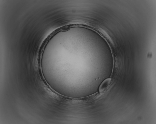 X0000090411068200707131142