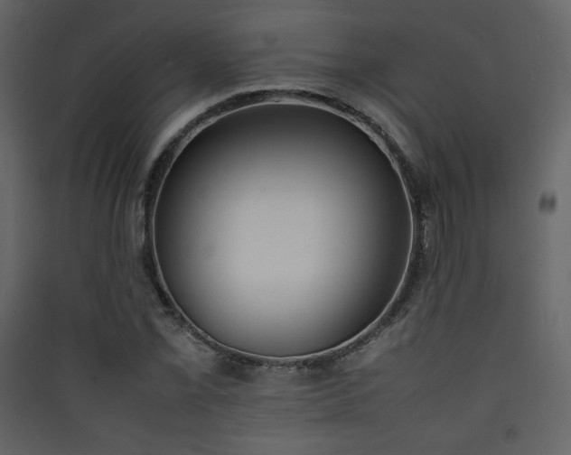 X0000090411069200707131142
