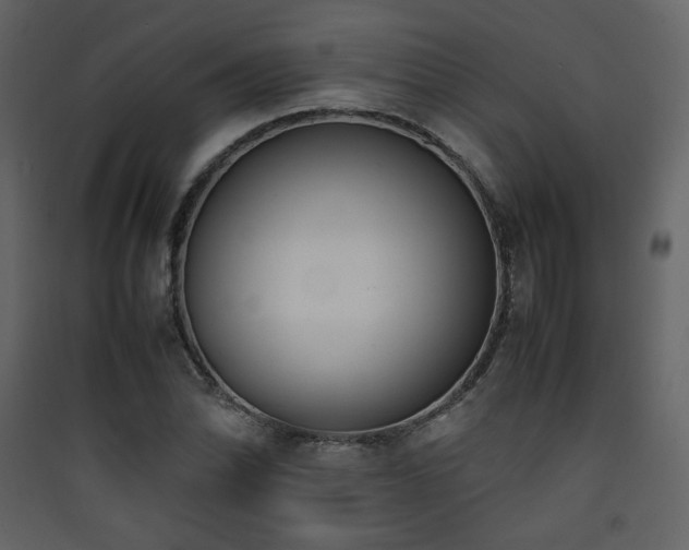 X0000090411070200707131142