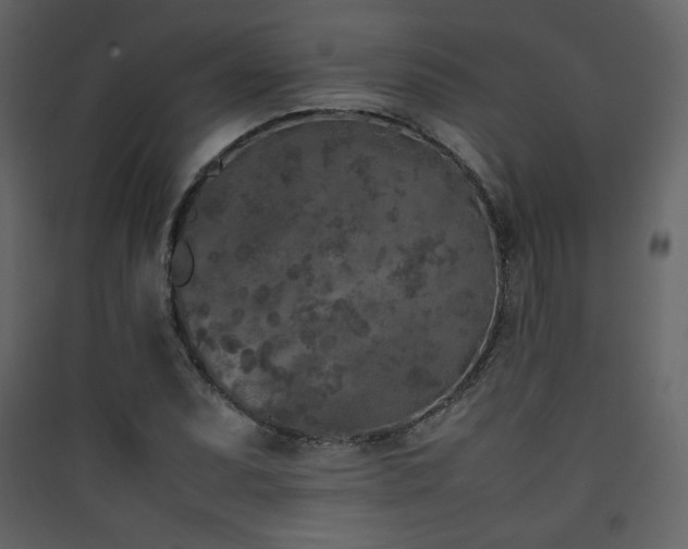 X0000090411071200707131142