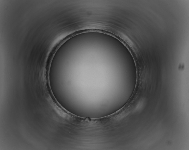 X0000090411072200707131142