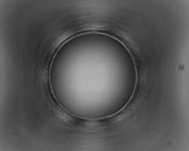 X0000090411073200707131142