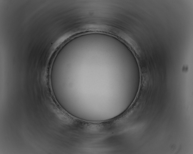 X0000090411074200707131142