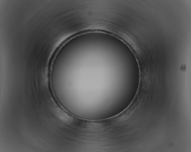X0000090411076200707131142