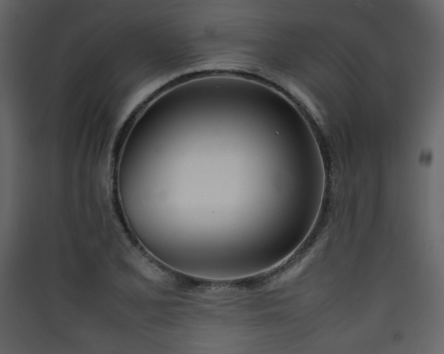 X0000090411077200707131142