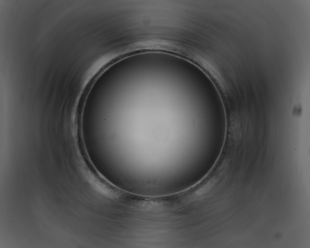 X0000090411082200707131142