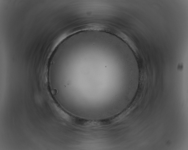 X0000090411083200707131142
