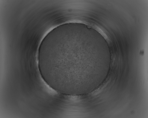 X0000090411084200707131142