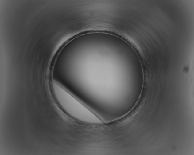 X0000090411085200707131142