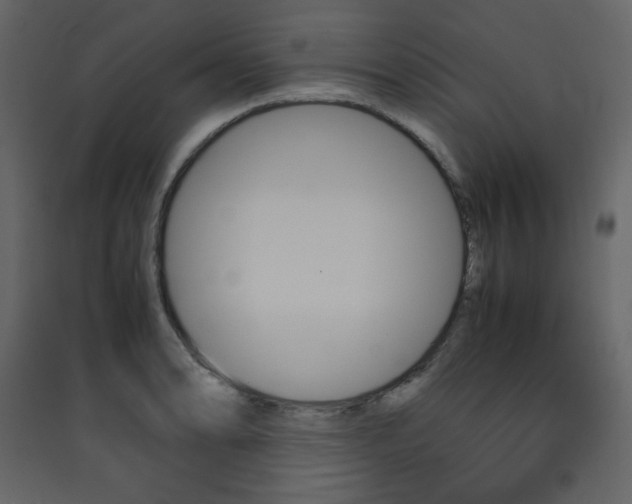 X0000090411086200707131142