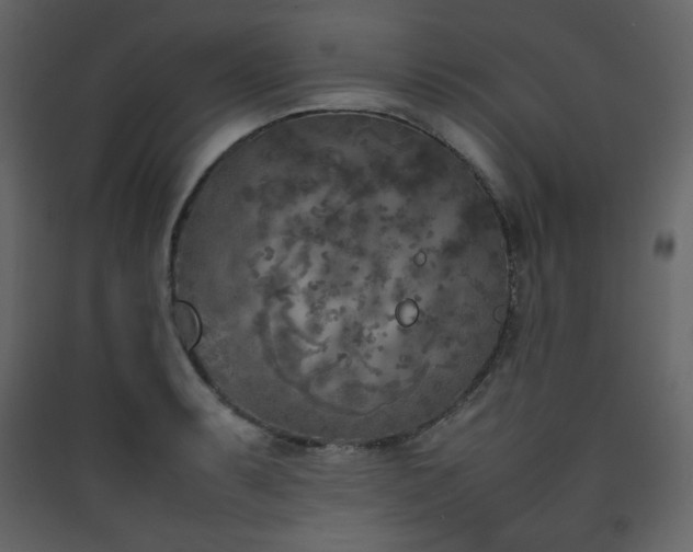 X0000090411087200707131142