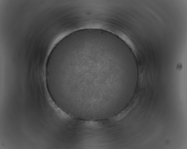 X0000090411088200707131142
