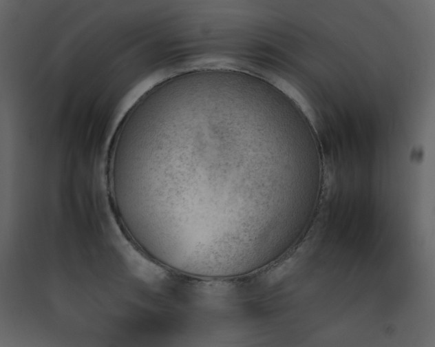 X0000090411090200707131142