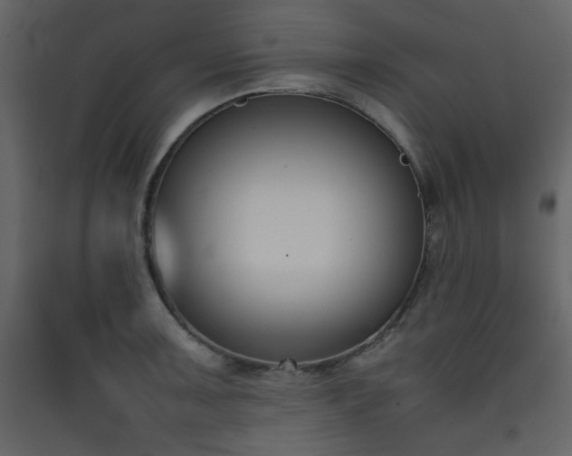 X0000090411091200707131142