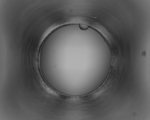 X0000090411094200707131142