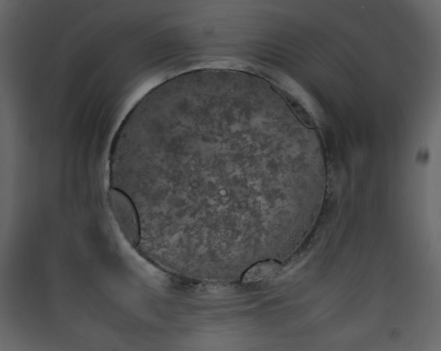 X0000090411095200707131142