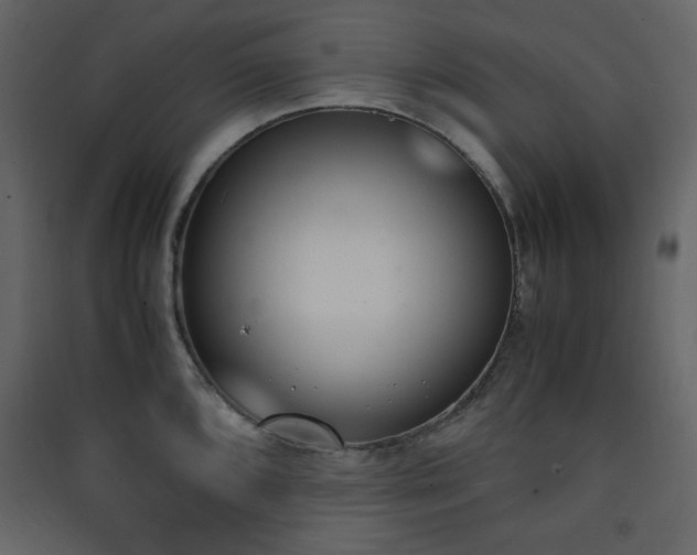 X0000090411096200707131142