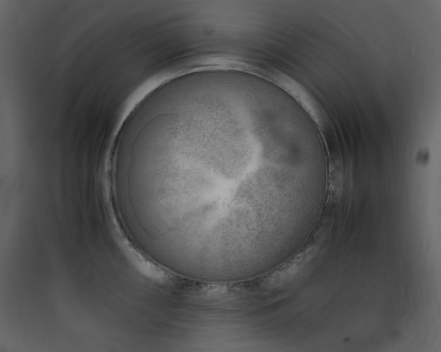 X0000090411098200707131142