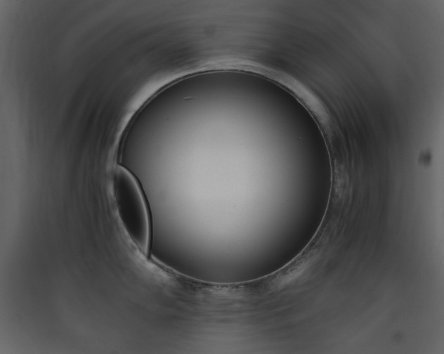 X0000090411102200707131141