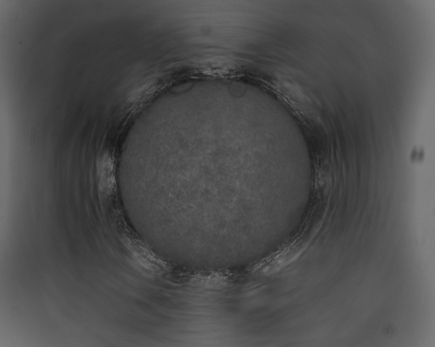 X0000090411106200707131141