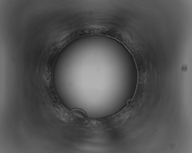 X0000090411109200707131141
