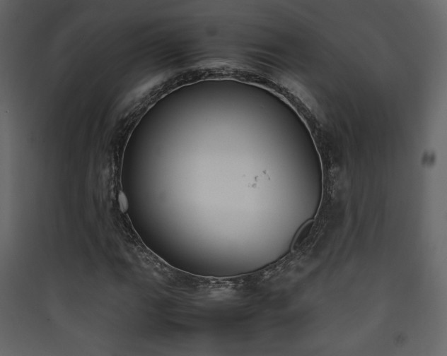 X0000090411111200707131141