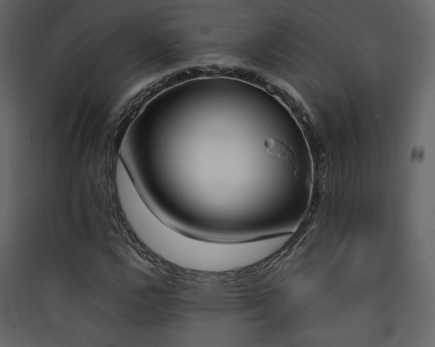 X0000090411112200707131141