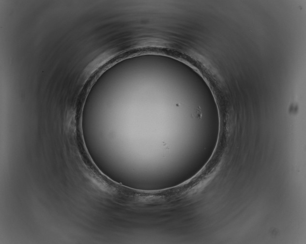 X0000090411113200707131141