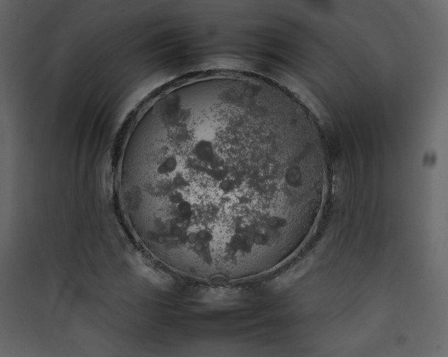 X0000090411117200707131141