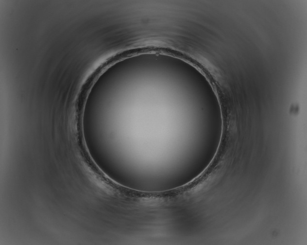 X0000090411118200707131141
