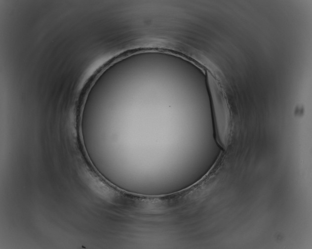 X0000090411120200707131141