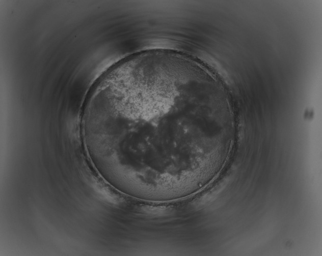 X0000090411121200707131141