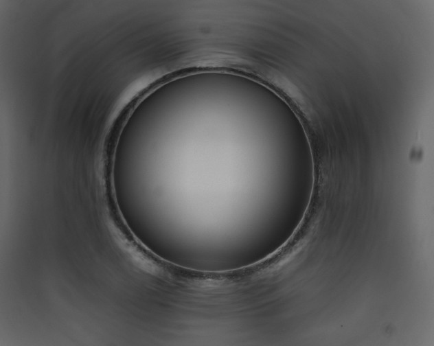 X0000090411122200707131141