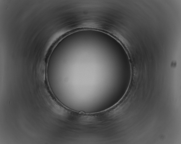X0000090411123200707131141