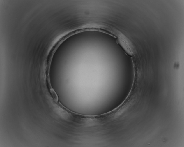 X0000090411124200707131141
