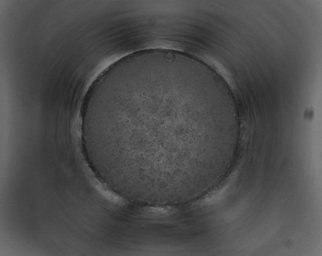 X0000090411125200707131141