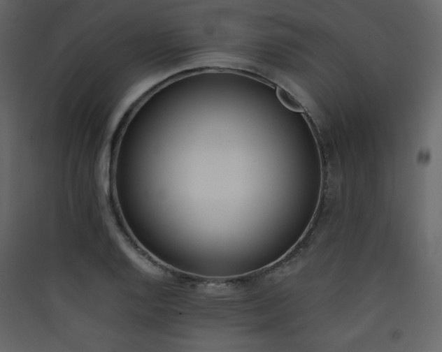 X0000090411128200707131141