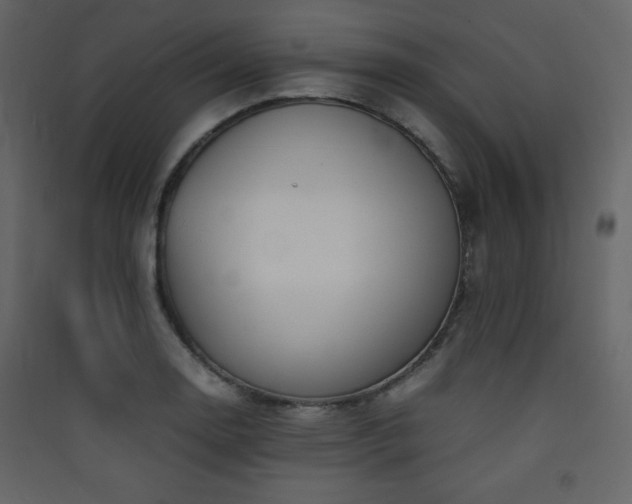 X0000090411130200707131141