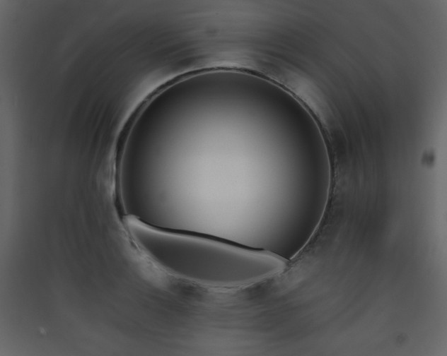X0000090411132200707131141