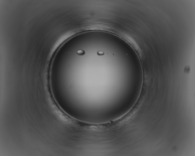X0000090411138200707131141