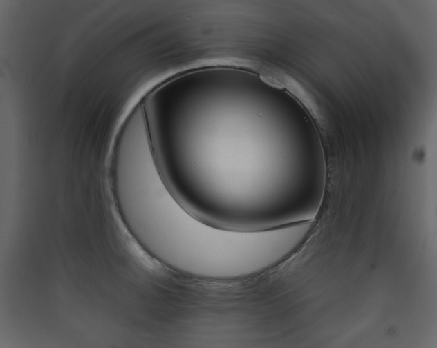 X0000090411140200707131141