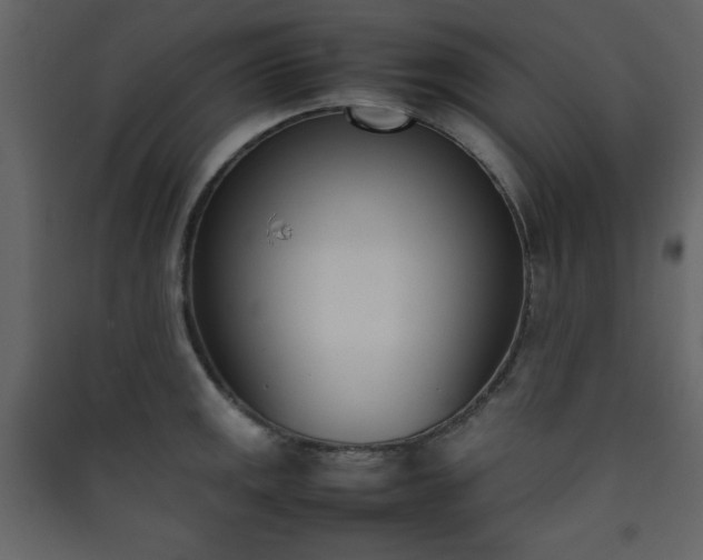 X0000090411141200707131141