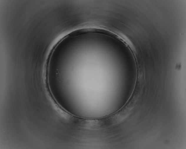 X0000090411144200707131141