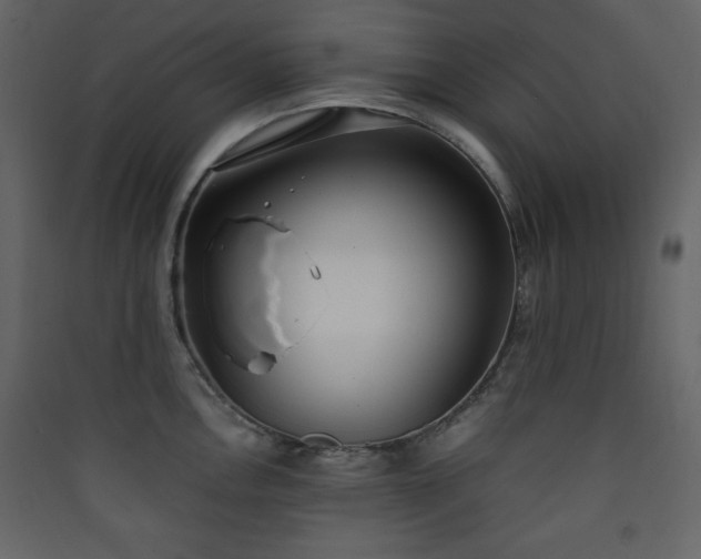 X0000090411146200707131141