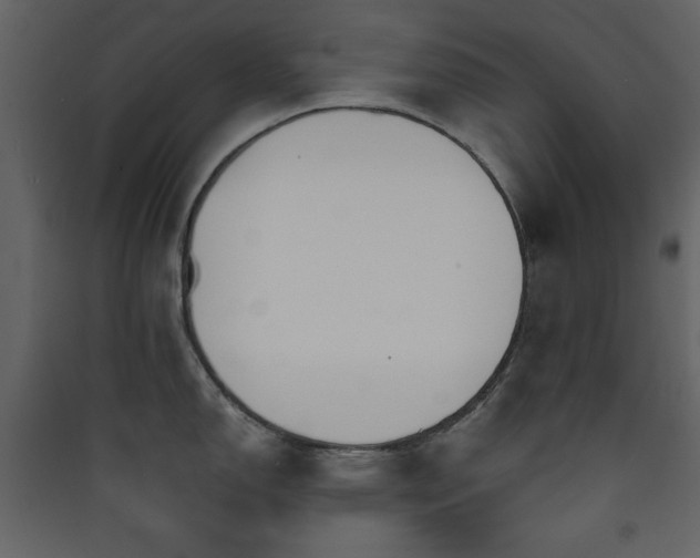 X0000090411150200707131141